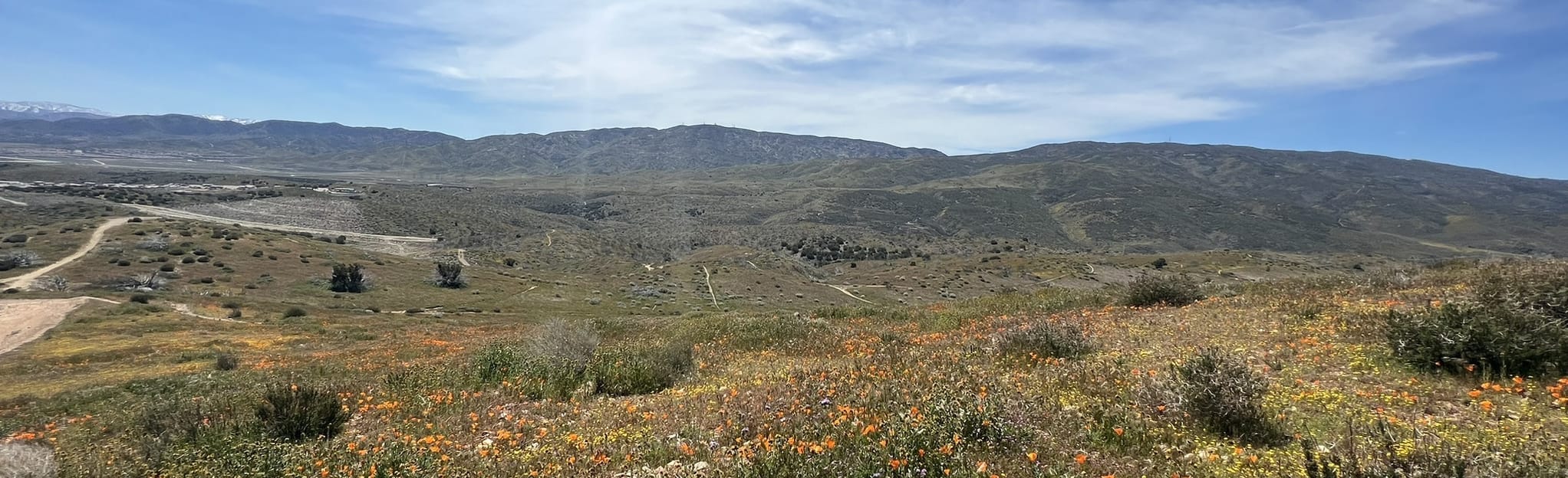 Ritter Ridge and Joshua Ranch Loop, California - 51 Reviews, Map ...