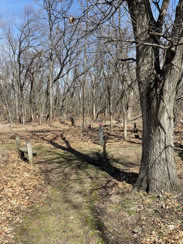 Best Hikes and Trails in Sand Ridge Nature Preserve | AllTrails