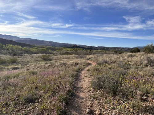 10 Best Trails and Hikes in Cottonwood | AllTrails