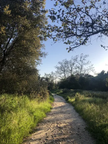 10 Best Trails And Hikes In Rancho Santa Margarita | AllTrails