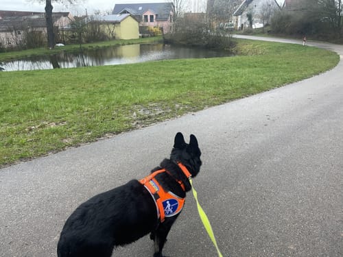 Rundwanderweg Nördlich von Goldbühl
