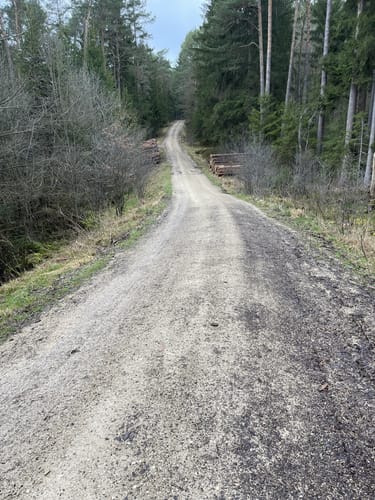 Rundwanderweg Nördlich von Goldbühl