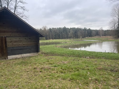 Rundwanderweg Nördlich von Goldbühl