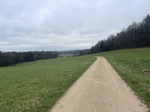 Rundwanderweg Nördlich von Goldbühl