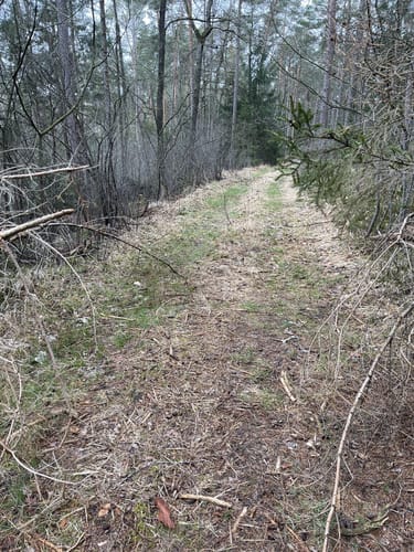 Rundwanderweg Nördlich von Goldbühl