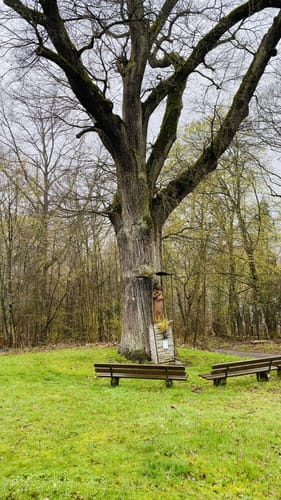 Murscher Eselsche (Traumschleife)