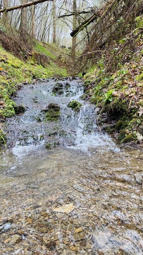 Murscher Eselsche (Traumschleife)
