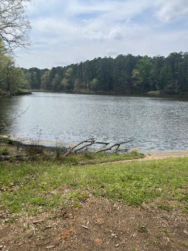 2023 Best Fishing Trails in William - EyJidWNrZXQiOiJhc3NldHMuYWxsdHJhaWxzLmNvbSIsImtleSI6InVwbG9hZHMvcGhvdG8vaW1hZ2UvNTgwNTg2ODUvMjQ2ODcyODliMWZjMzMwMzg4MTk4MjhhOThlYjQ0MDAuanBnIiwiZWRpdHMiOnsidG9Gb3JtYXQiOiJqcGVnIiwicmVzaXplIjp7IndpZHRoIjo1MDAsImhlaWdodCI6NTAwLCJmaXQiOiJpbnNpZGUifSwicm90YXRlIjpudWxsLCJqcGVnIjp7InRyZWxsaXNRdWFudGlzYXRpb24iOnRydWUsIm92ZXJzaG9vdERlcmluZ2luZyI6dHJ1ZSwib3B0aW1pc2VTY2FucyI6dHJ1ZSwicXVhbnRpc2F0aW9uVGFibGUiOjN9fX0=