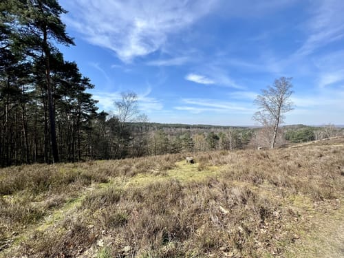 Wulmstorfer Heide