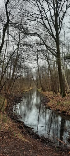 Naturlehrpfad Schutzgebiet Blankenfelder See und Dahlewitzer Heide