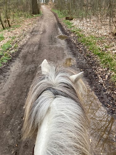 Kleiner Waldrundweg im Vogelsang