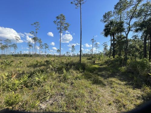 2023 Best trails in Tosohatchee Wildlife Management Area | AllTrails