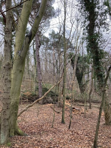 Ralswiek Hafenrunde