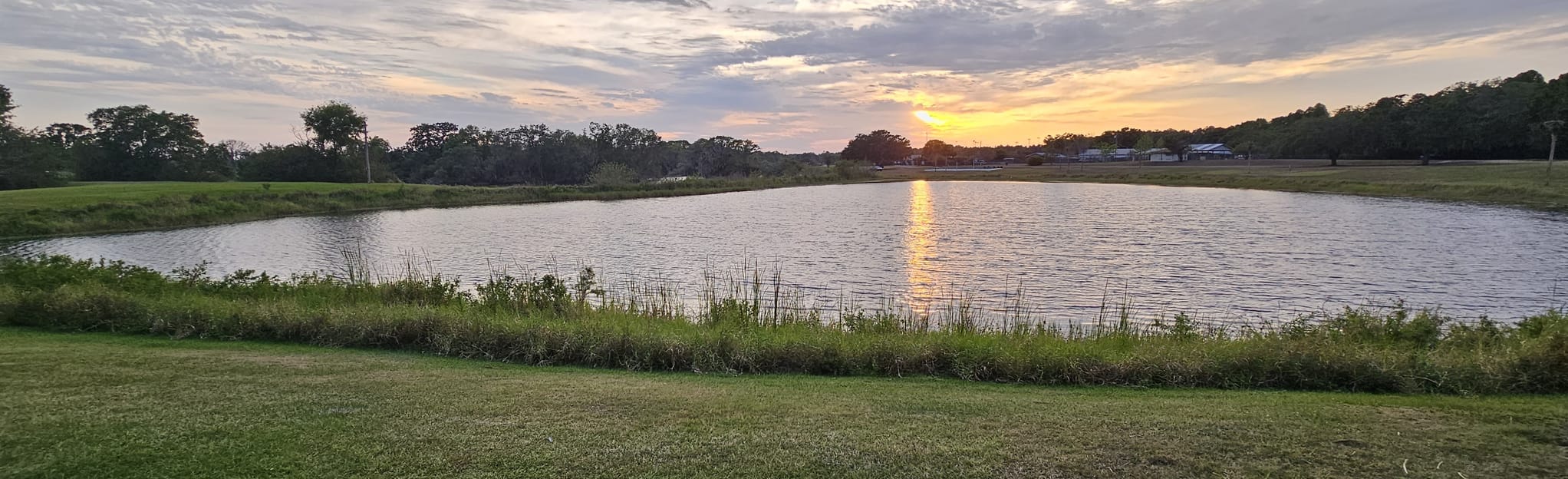 Saddle Creek Nature Trail, Florida 37 Reviews, Map AllTrails