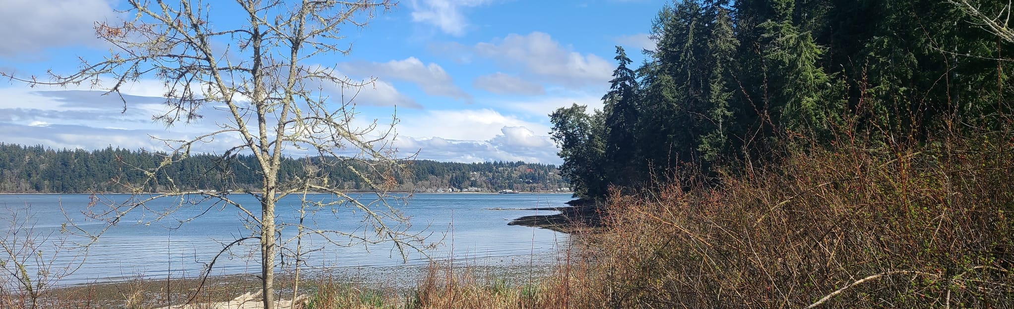 Manchester State Park Loop 293 Reviews, Map Washington AllTrails