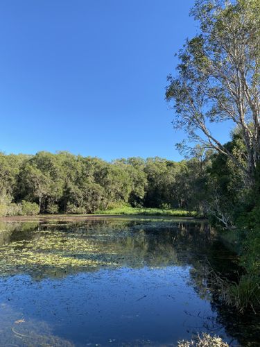 Best Hikes and Trails in Nudgee Waterhole Reserve | AllTrails