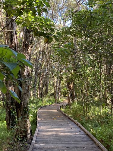 Best Hikes And Trails In Nudgee Waterhole Reserve 