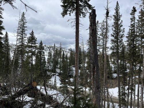 Photos of Moose Creek Loop - Alberta, Canada