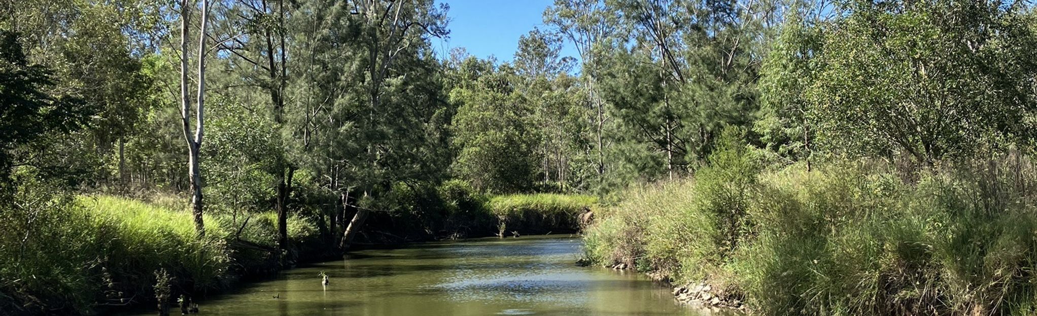 Trevot Brook Shoreline Trail and Mount Joyce Ridge: 4 Reviews, Map ...