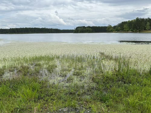 Best Hikes and Trails in Bear Lake Recreation Area | AllTrails