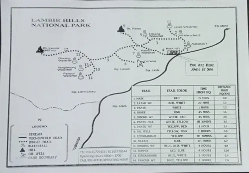 Lambir Hills National Park - O que saber antes de ir (ATUALIZADO 2023)