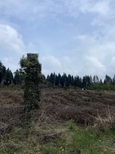 Rundweg Dettingen - Glatt