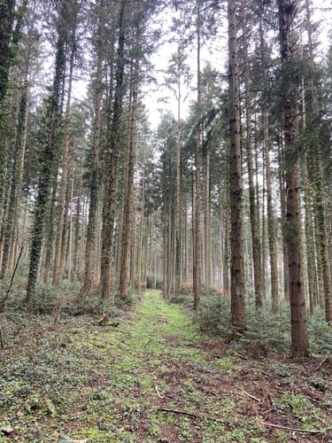 Rundweg Dettingen - Glatt