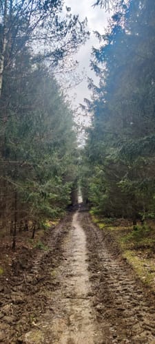 Eifelverein Langerwehe: Wanderweg 71