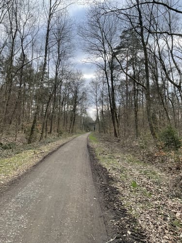 Pfälzer Moortour