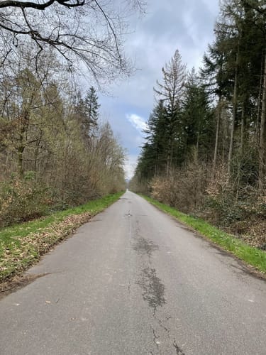 Pfälzer Moortour