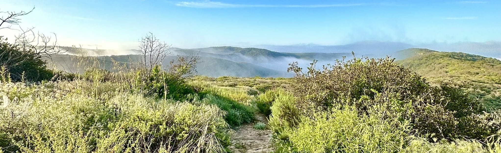 Bommer and Red Tail Ridge, Rattlesnake, Mach One, Pacific Ridge Loop ...
