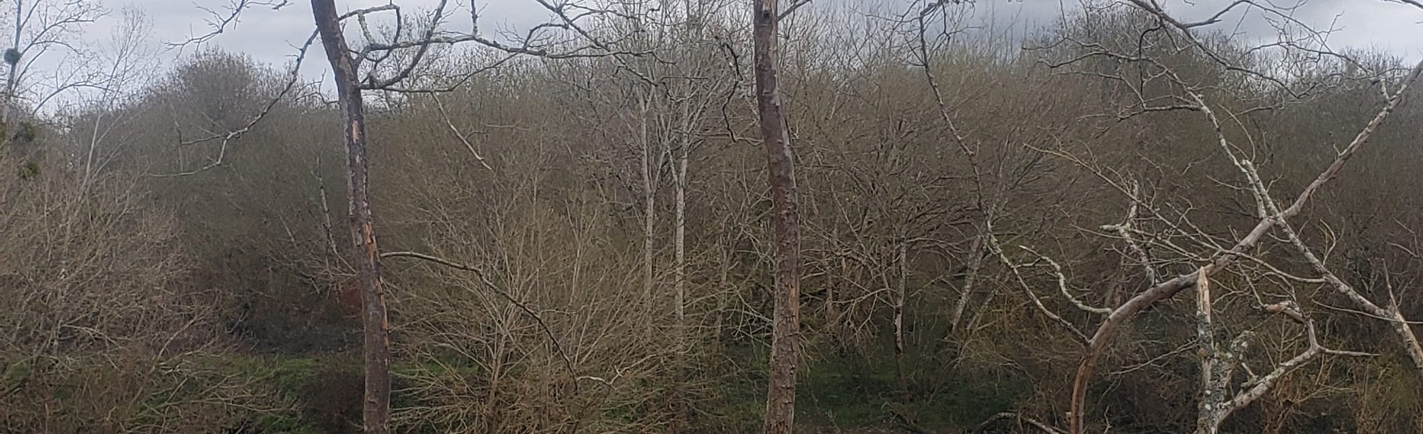 Circuit de la Barthe et de l'Adour 9 Reviews, Map Landes, France