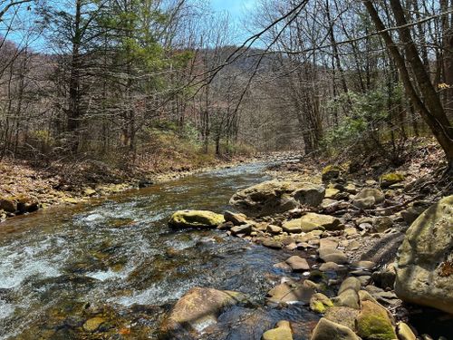 Best Hikes and Trails in Pennsylvania State Game Lands Number 13