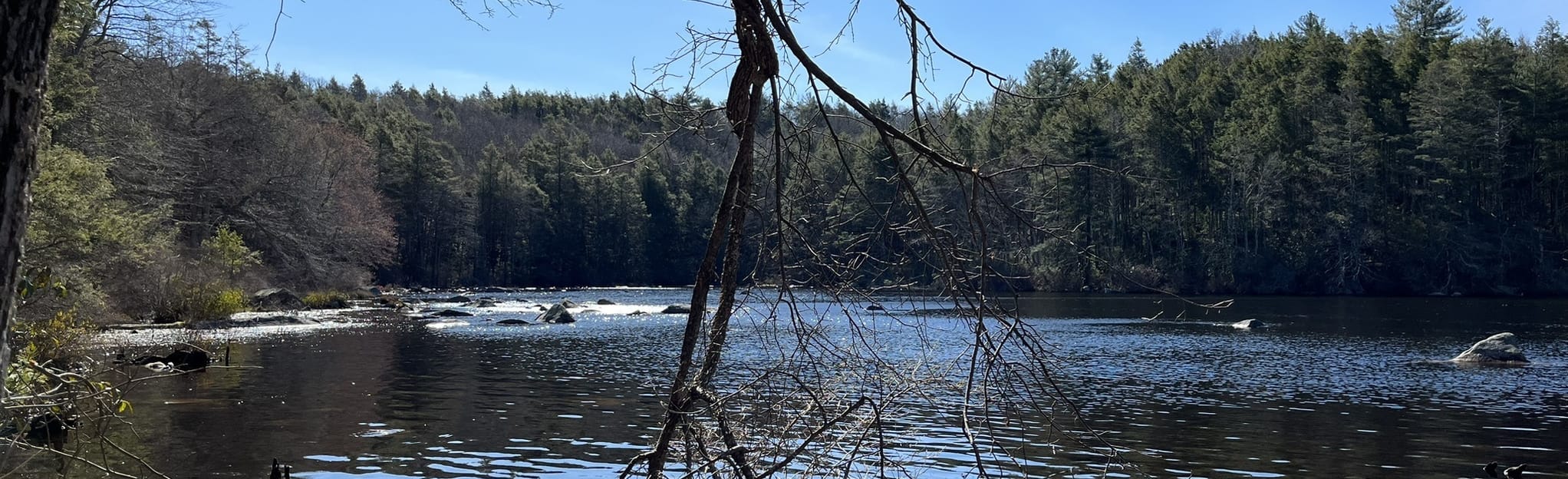 Tippecansett Trail, Rhode Island 95 Reviews, Map AllTrails