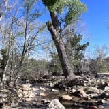 Chiva Falls Trail, Arizona - 356 Reviews, Map | AllTrails
