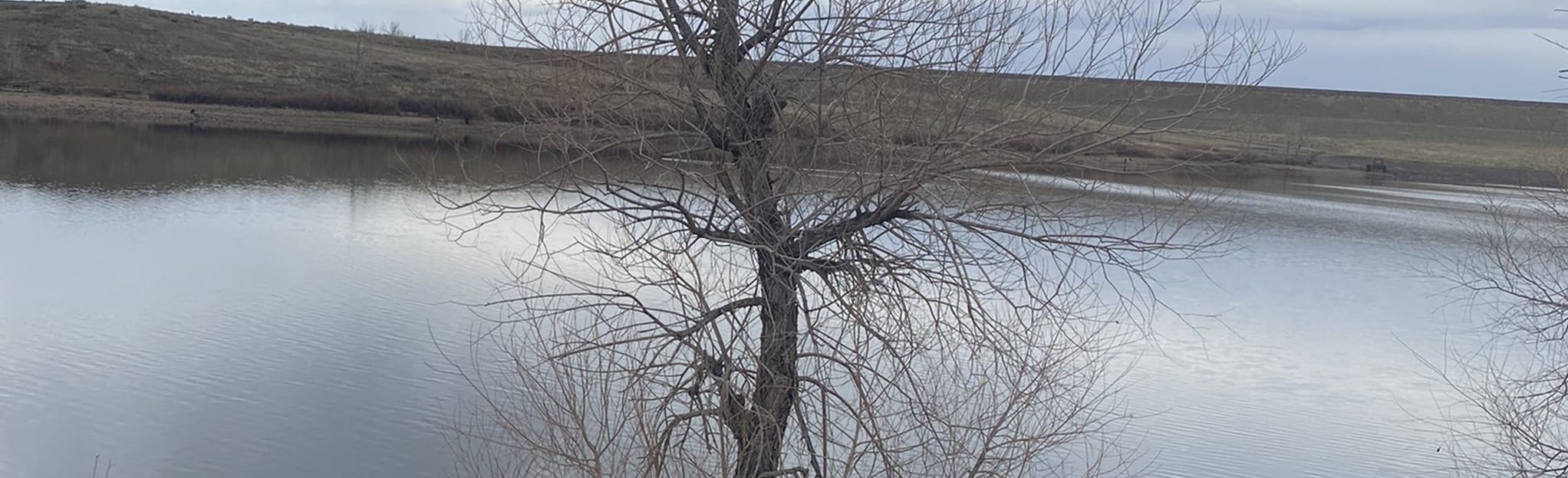 Bear Creek Lake Paddle Route, Colorado 6 Reviews, Map AllTrails