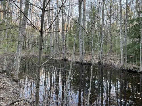 Best Hikes and Trails in Blandings Park Wildlife Sanctuary | AllTrails