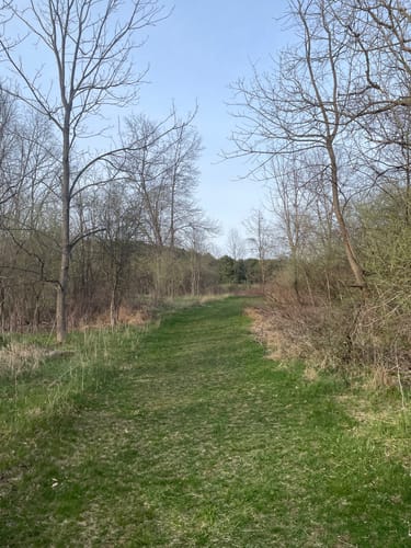 2023 Best Lake Trails in Bald Eagle State Park | AllTrails