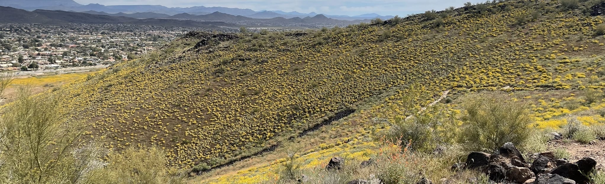 Thunderbird Park Three Peaks Loop Trail, Arizona 542 Reviews, Map