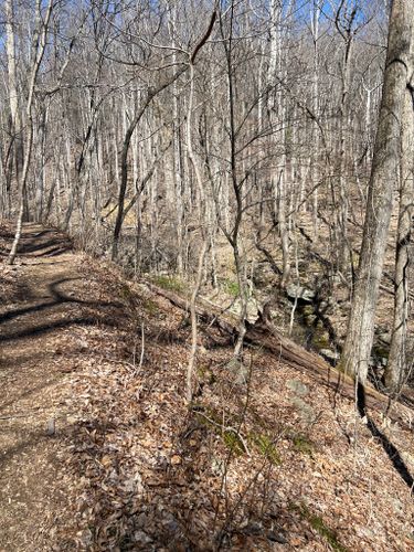 2023 Best trails in Rapidan Wildlife Management Area | AllTrails