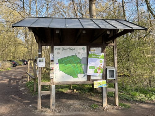 Durch den Ober-Olmer Wald