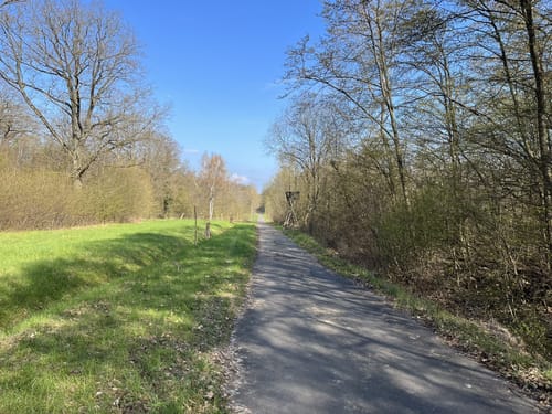 Durch den Ober-Olmer Wald