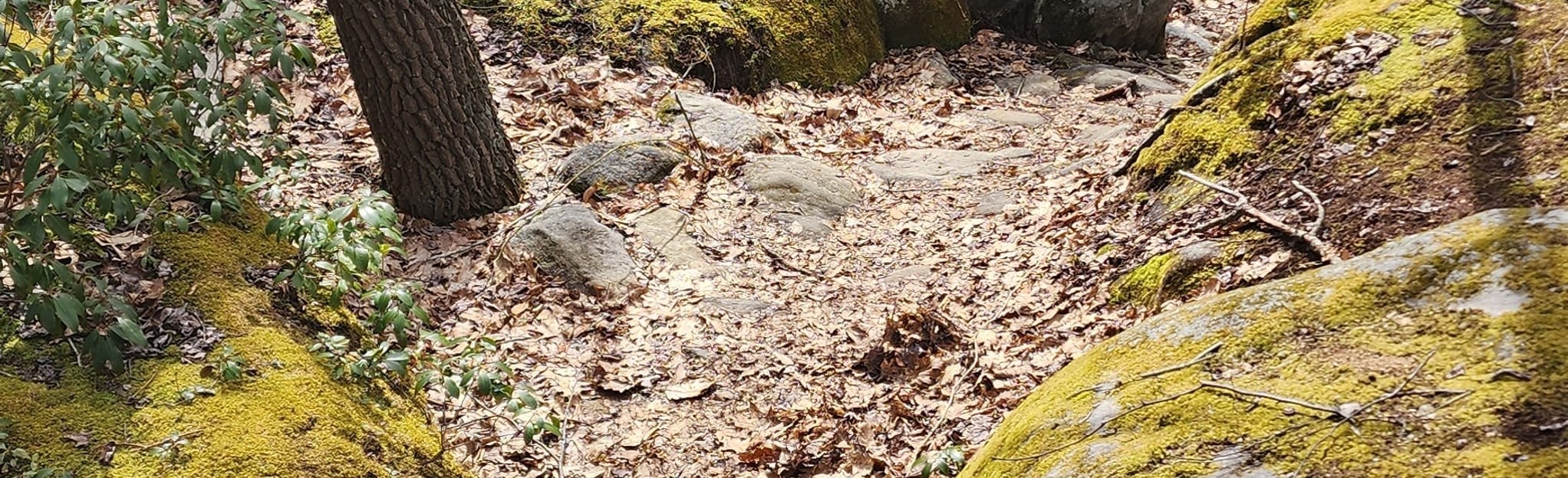 Cherry Creek Loop, 263 Fotos Maryland AllTrails