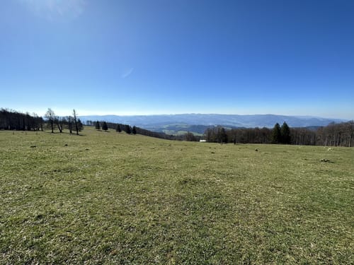 Kandel Rundweg