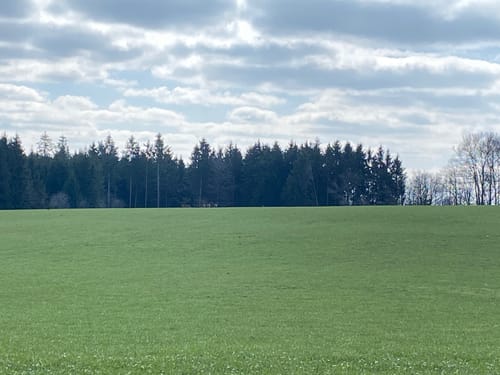 Berescheid: Edelkrebspfad im Schafbachtal