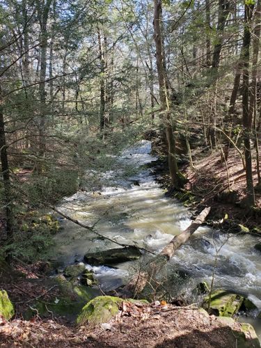 Best Hikes and Trails in Grundy Forest State Natural Area | AllTrails