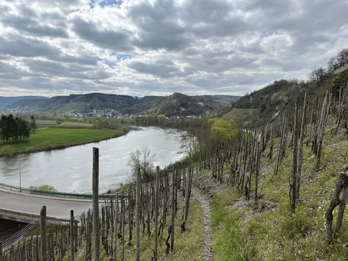 Thoernicher Ritsch
