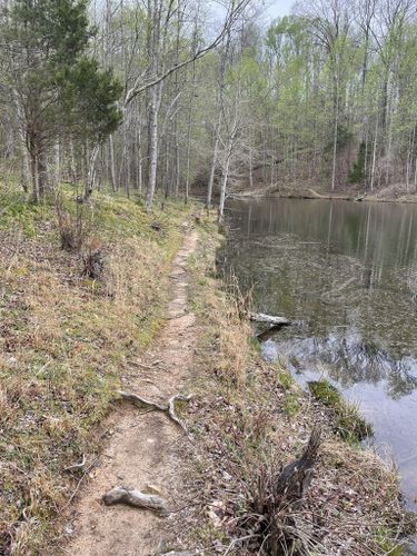 montgomery bell mountain bike trail