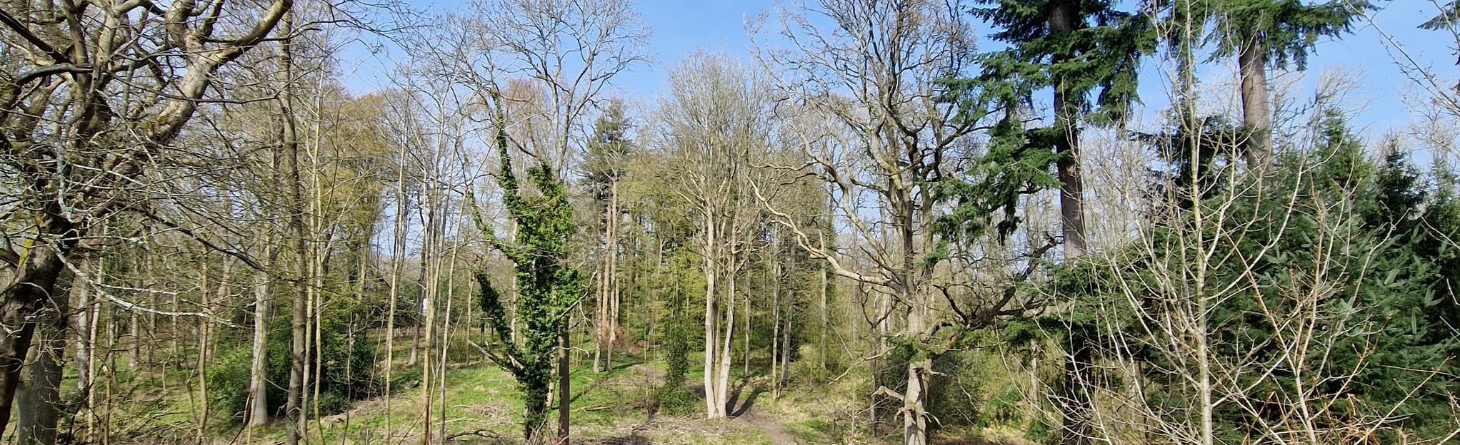 Bagley Wood Circular 44 foto's Oxfordshire, Engeland AllTrails