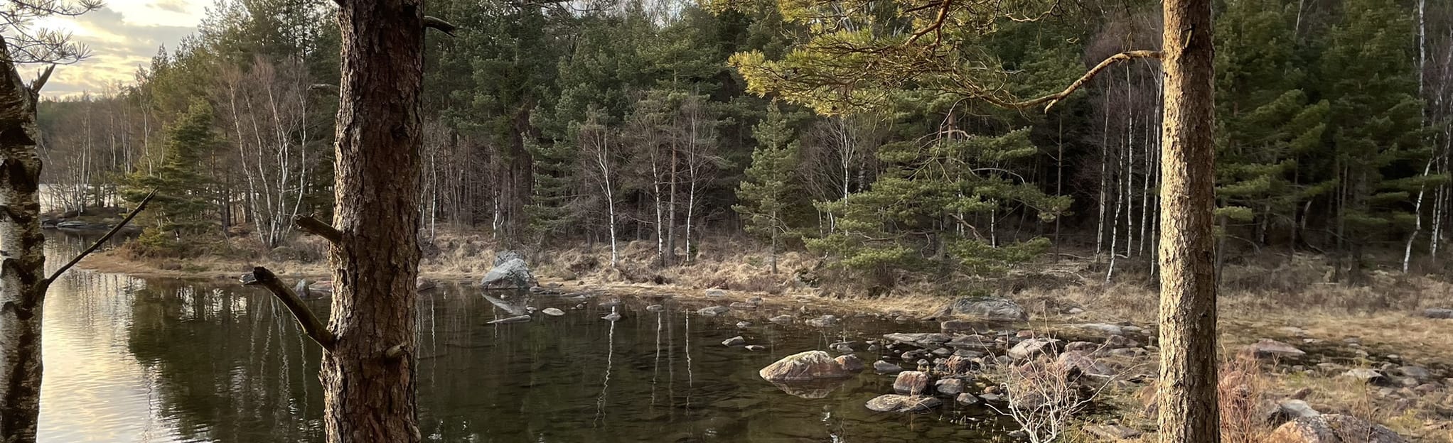 Stora Björsjön Rundweg: 40 Fotos - Västra Götaland, Schweden | AllTrails